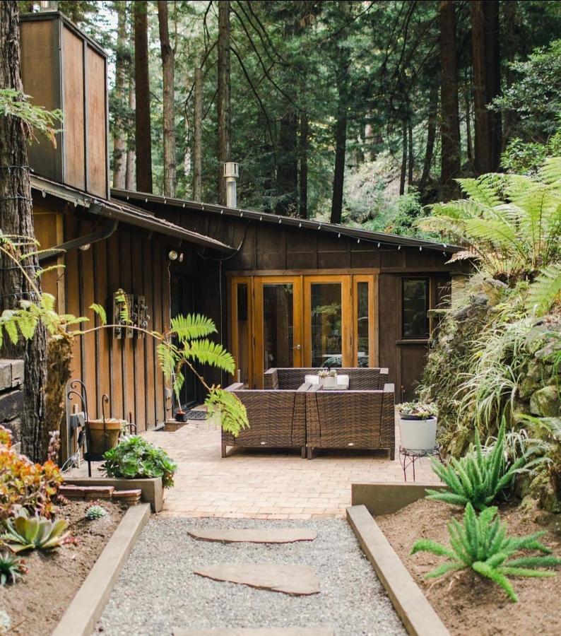 Sur Grove Big Sur Villa Dış mekan fotoğraf